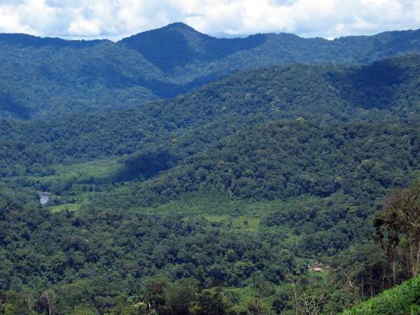 The hamlet of Mrka Từk, the most downstream of Kri settlements, is dwarfed by its upland forest watershed surroundings. Recently cleared areas of swidden field are visible along the banks of the Ñrong River: thick forest will quickly reinstate itself.