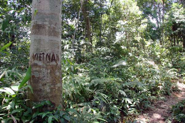 Kri territory is nestled just West of the Vietnam border. Itinerant hiker-traders are a familiar and mostly welcome presence in upland villages; trapper-hunters tend to stay off the trails, and are avoided.