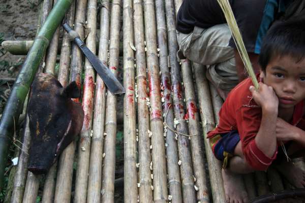 Within the last 20 years, young Kri have led a shift away from constraints on diet that are unusual in mainland Southeast Asia: older Kri prefer a fish-only diet, avoiding all red meat and forest creatures. This is rapidly changing.