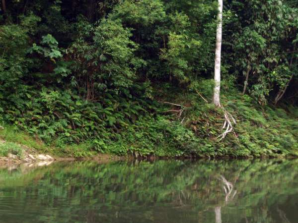 River's edge, upstream of Mrka Kơn Hamlet.