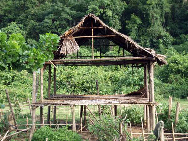 This house frame has served its purpose as a family home since its construction seven years earlier. Walling still in good condition is taken and re-used by the family in their new location in another hamlet, nearby in Kri territory.