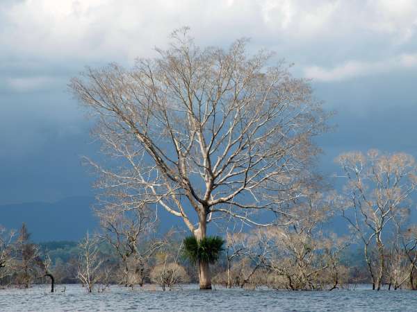 The Nakai Plateau was permanently flooded when the Nam Theun 2 Hydroelectricity Dam Project was realized in 2010. To visit the Nakai District Centre, Kri villagers would cross the plateau on foot. Today they must use boat transport.