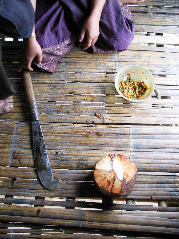Cross section of an edible palm; villagers slice off ‘chips’ with a machete and eat them with chili paste (at top right)
